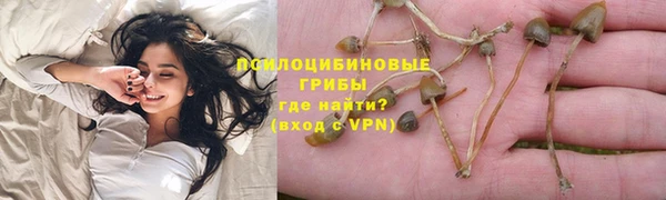 mdma Горнозаводск