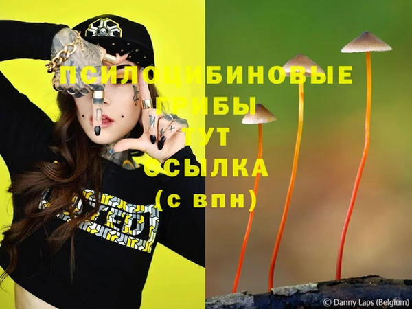 mdma Горнозаводск