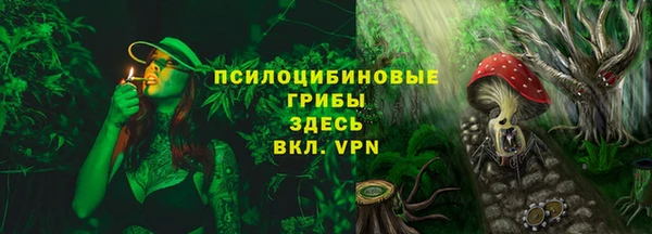mdma Горнозаводск
