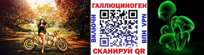 где можно купить наркотик  Меленки  Галлюциногенные грибы Magic Shrooms 